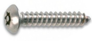 10 Stück Sicherheitsschrauben Linsenkopf A2 4,8X25 Torx+Pin