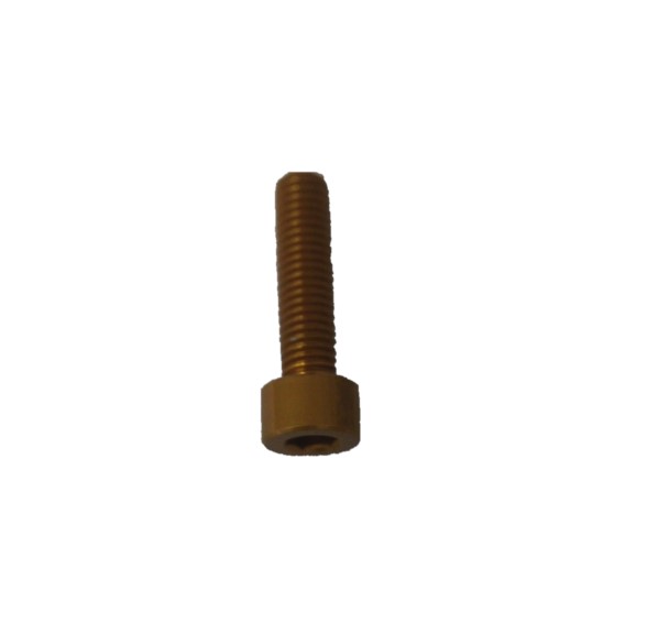 5 pcs socket cap screws DIN 912 aluminium high-tensile 7075 M6X25 GOLD